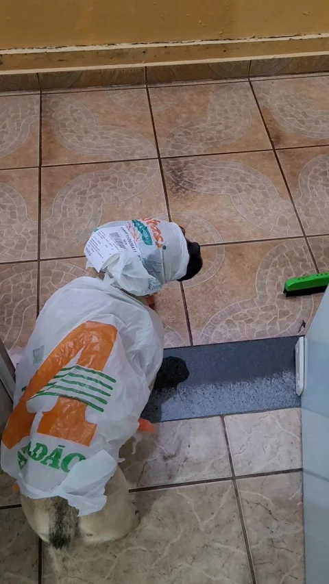 Plastic Bag Doesn't Cut It as a Raincoat, Piracicaba , Sao Paulo, Brazil - 22 Se Stock Footage 317850202