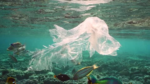 Plastic bag drifts under surface of ocean in bright sunbeams at sunset Stock Footage 243442980