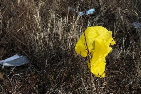 Plastic bag, environment pollution and garbage Stock Photos