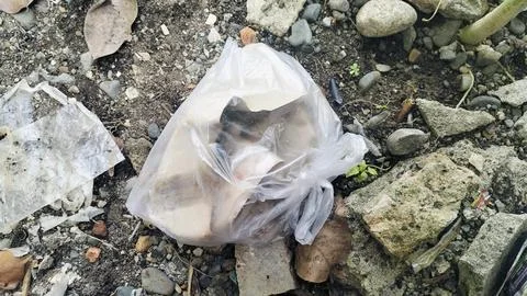 Plastic bag filled with garbage abandoned on dirty soil ground. Stock Photos