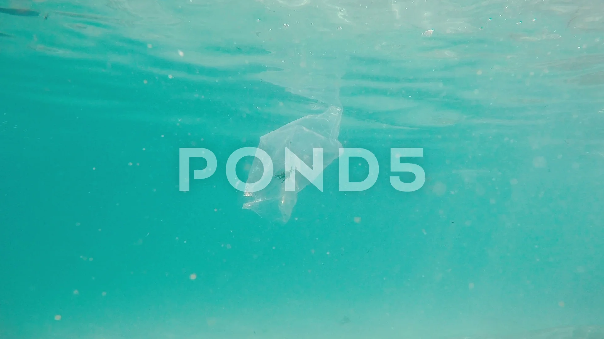Plastic Bag Floating In The Ocean Stock Video Pond5