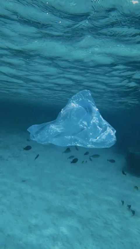 Plastic Bag Floating in Polluted Ocean Stock Footage 317754573