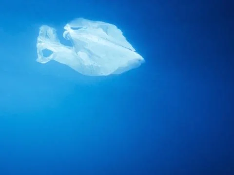 Plastic bag floating under the ocean water Stock Photos