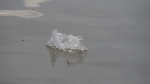 Plastic bag floating in water. 4K Ultra HD Stock Footage 107137384