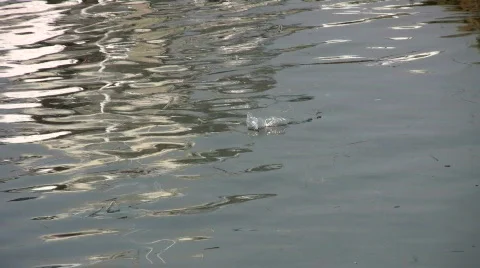 Plastic bag floating on water Video stock 457447
