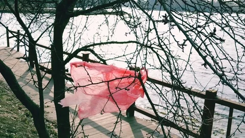 Plastic bag Stock Footage 105749060