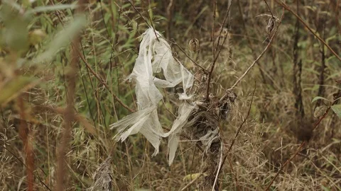 Plastic bag in grass. Garbage leaved by bad people for nature Stock-Footage 117358762