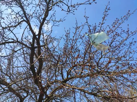 Plastic bag hanging from tree branches against clear blue sky background Stock Photos