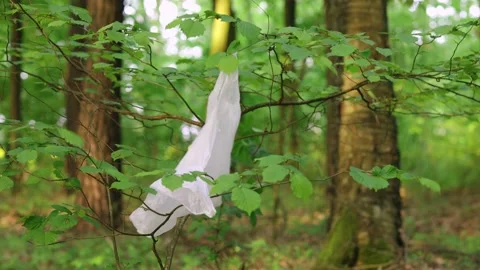 Plastic bag left in forest. Plastic pollution and irresponsibility for enviro Stock Footage 146915240
