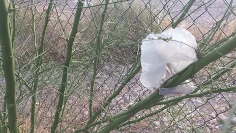 Plastic Bag Litter and garbage in the desert Vídeo Stock 134907671