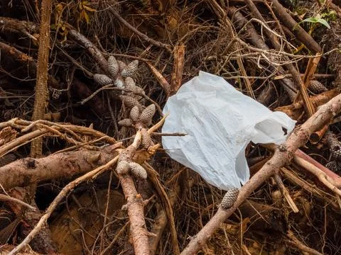Plastic bag lost in the forest Stock Photos