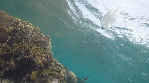 Plastic bag next to the reefs in the ocean, underwater shot. Environmental Stock Footage 107141859