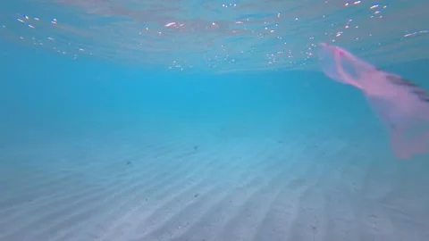 Plastic Bag In The Ocean Stock Footage 317837770