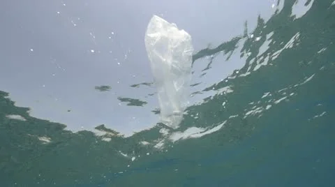 Plastic bag in the ocean - underwater view Stock Footage 10904119