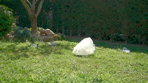 Plastic bag passing by with waste on grass lawn at the public park 스톡 동영상 236900963