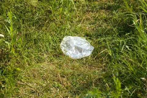 Plastic bag polluting grass closeup view with selective focus on foreground Stock Photos