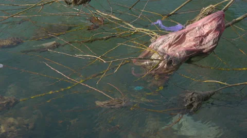 Plastic bag in river 動画素材 236911338