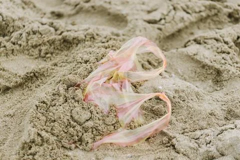 Plastic bag in sand on a beach Stock Photos