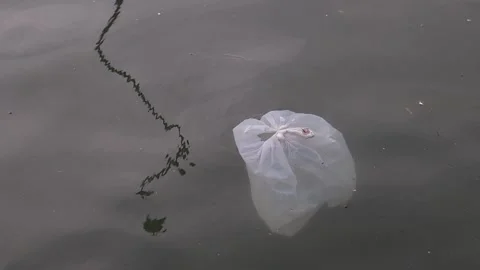 Plastic Bag at the Sea Stock Footage 247641594