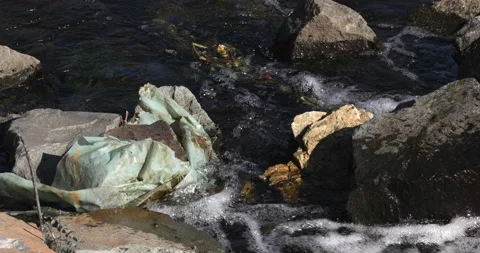 Plastic bag thrown in water Stock Footage 164067792