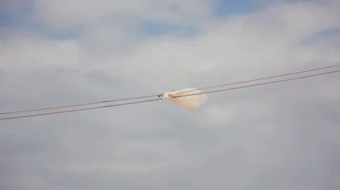 Plastic bag trash blowing on rope Stock Footage 10881412