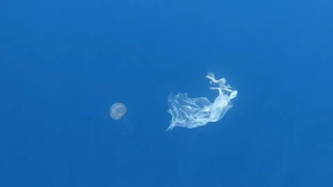 Plastic bag trash polluting the ocean resembling a jellyfish Video stock 335078271