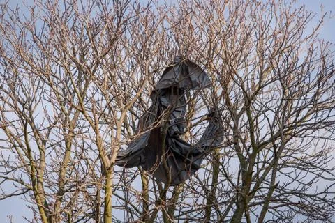 Plastic bag on tree branches Stock Photos