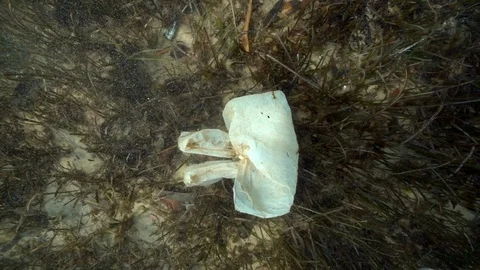 Plastic Bag Underwater Drone Shot Stock Footage