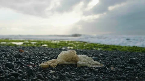 Plastic Bag Washed by Ocean Wave, Bali Stock Footage 147289021