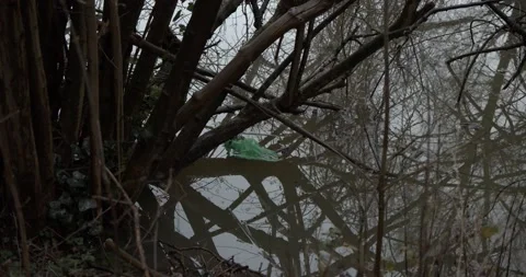 Plastic bag in the water 動画素材 147750204