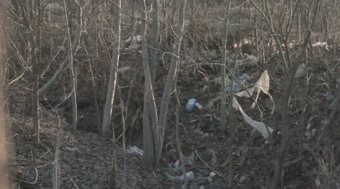 Plastic bag weighs on the tree. trash Stock-Footage 68843327