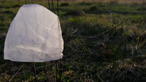 Plastic Bag on a Wind Видео 132249192