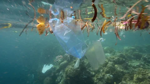 Plastic bags and other garbage floating in ocean Stock Footage