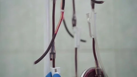 Plastic bags with blood and components Stock Footage 167658287
