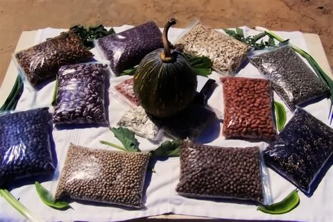Plastic bags with different types of beans Stock Photos