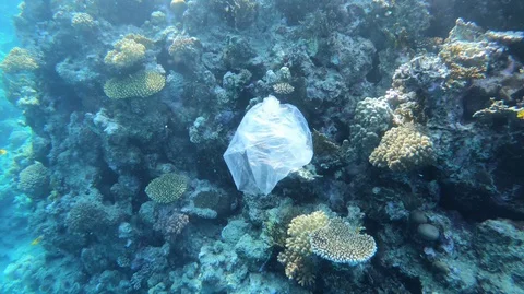 Plastic bags float in clear seawater. Water pollution Video stock 99391711