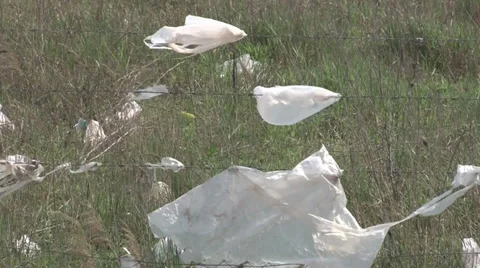 Plastic bags Stock-Footage 37164254