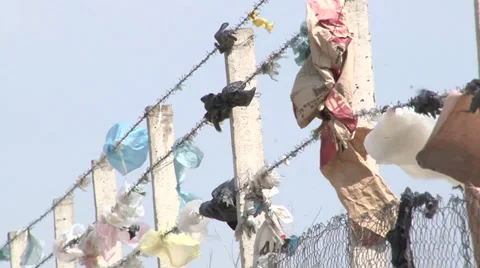 Plastic bags Stock-Footage 37164867