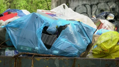 Plastic bags of garbage are in the container Stock Footage 111700697