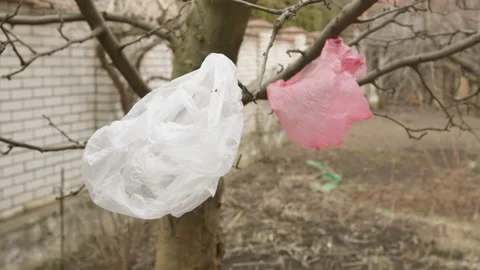 Plastic bags hang on a tree. Environment concept. Stock Footage 172495270