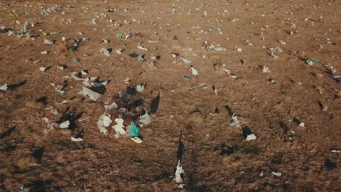 Plastic bags on the lawn Stock Footage 106584817