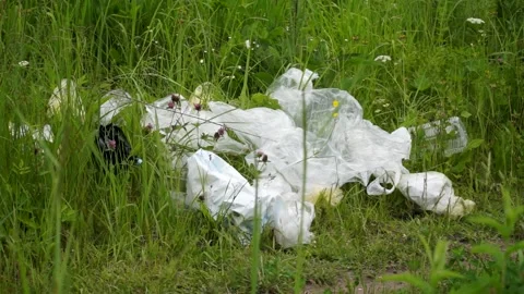 Plastic bags, plastic bottles lying on the grass, pollution of nature Stock Footage 133445174