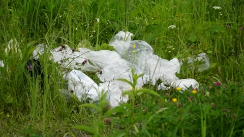 Plastic bags, plastic bottles lying on the grass, pollution of nature Stock Footage 133445182