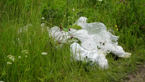 Plastic bags, plastic bottles lying on the grass, pollution of nature Stock Footage 133445191