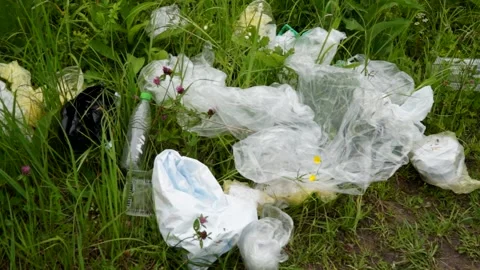 Plastic bags, plastic bottles lying on the grass, pollution of nature Stock Footage 133445222