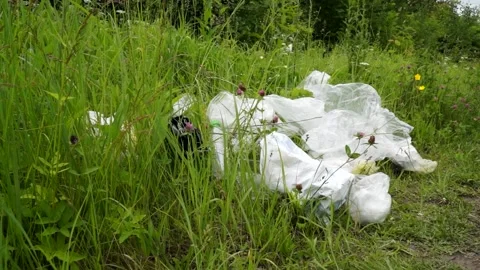 Plastic bags, plastic bottles lying on the grass, pollution of nature Stock Footage 133445231