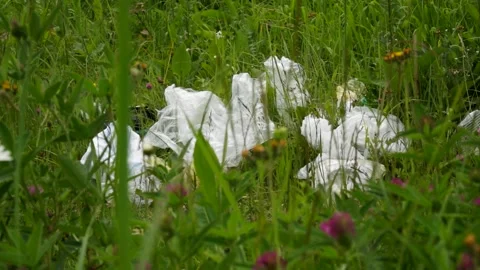 Plastic bags, plastic bottles lying on the grass, pollution of nature Stock Footage 133445315