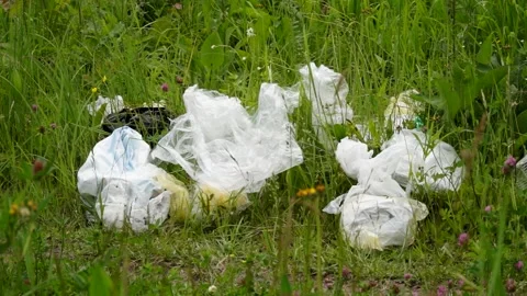 Plastic bags, plastic bottles lying on the grass, pollution of nature Stock Footage 133445320