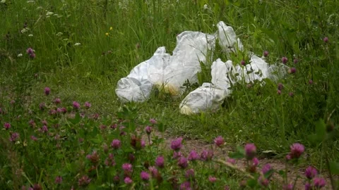 Plastic bags, plastic bottles lying on the grass, pollution of nature Stock Footage 133445341