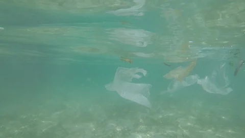 Plastic bags pollution in ocean Video stock 112379518